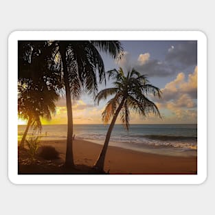 Tropical Ocean Beach Sticker